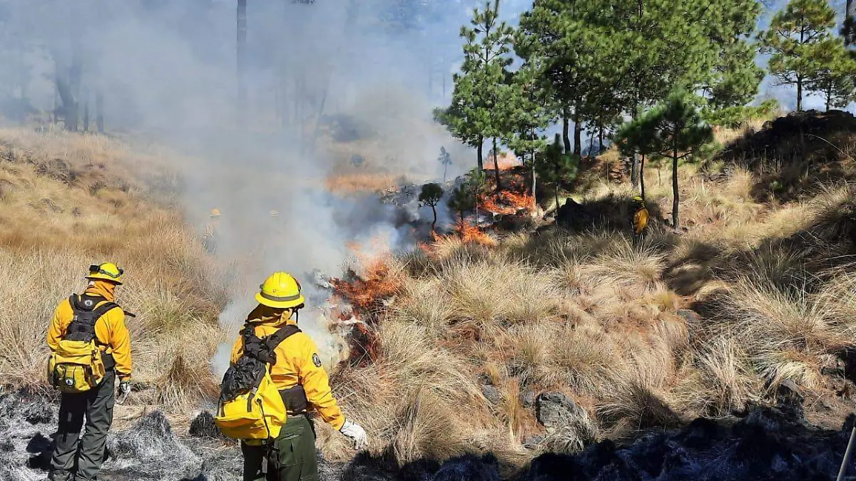 conafor incendios forestal